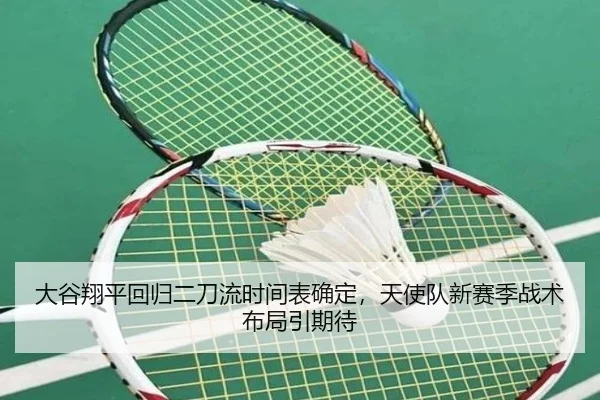 大谷翔平回归二刀流时间表确定，天使队新赛季战术布局引期待