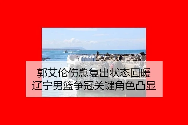 guo-ai-lun-shang-yu-fu-chu-zhuang-tai-hui-nuan-liao-ning-nan-lan-zheng-guan-guan-jian-jue-se-tu-xian-2-640.jpg